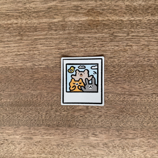 Polaroid friends vinyl sticker